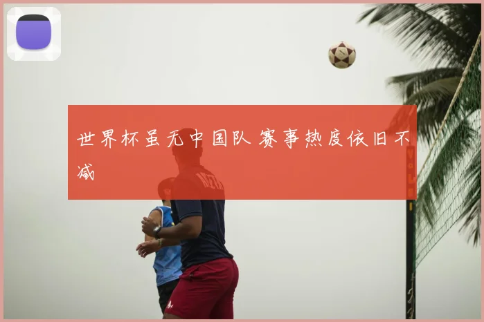 世界杯虽无中国队 赛事热度依旧不减