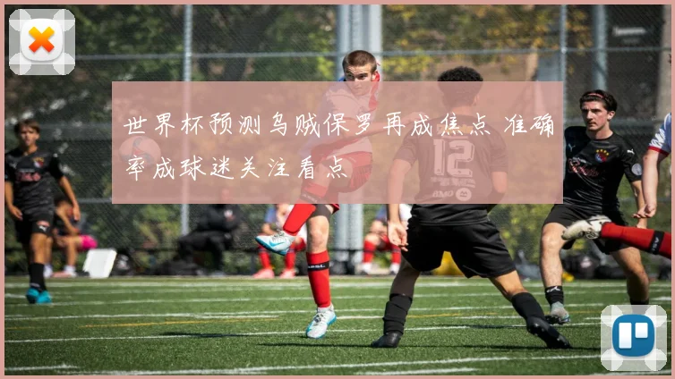 世界杯预测乌贼保罗再成焦点 准确率成球迷关注看点