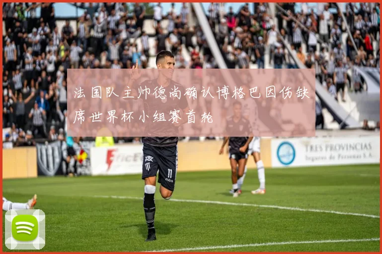 法国队主帅德尚确认博格巴因伤缺席世界杯小组赛首轮