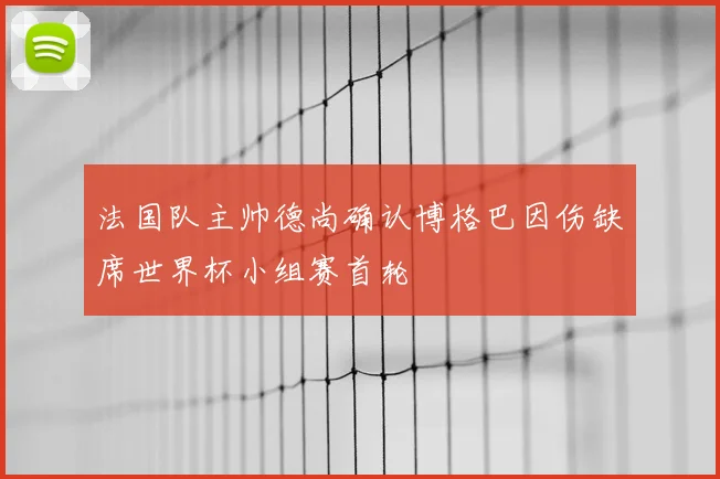 法国队主帅德尚确认博格巴因伤缺席世界杯小组赛首轮