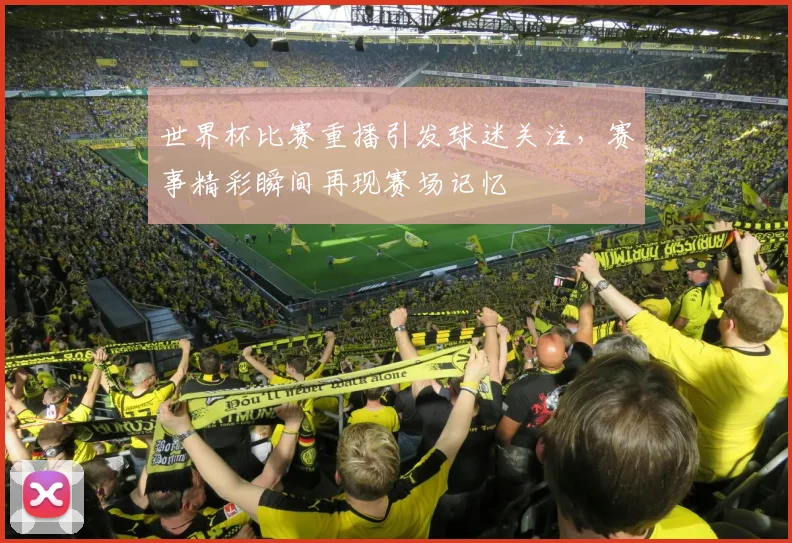 世界杯比赛重播引发球迷关注，赛事精彩瞬间再现赛场记忆