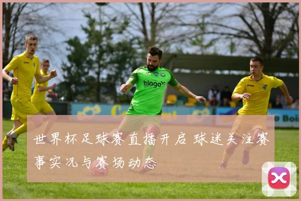 世界杯足球赛直播开启 球迷关注赛事实况与赛场动态