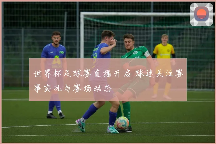 世界杯足球赛直播开启 球迷关注赛事实况与赛场动态